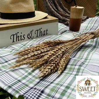 Hostal My Sweet Home