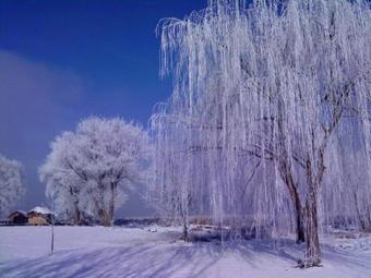 Hostal Villa Del Lago Boutique Hotel