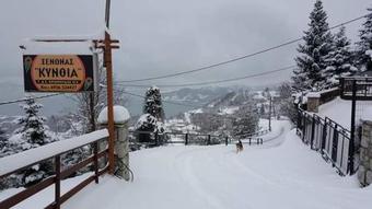 Hostal Kynthia Guesthouse