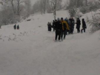 Hostal Petrino Pentolvio