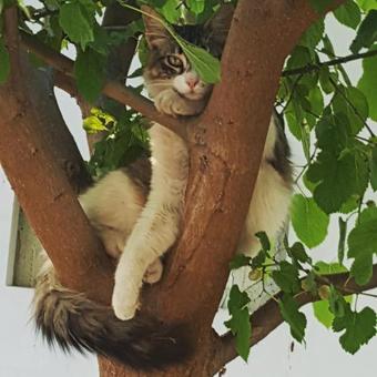 Hostal Philippos Hotel