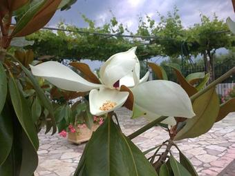 Apartamento The Green Home