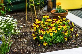 Hotel Le Bijou Luxury Rooms & Suites