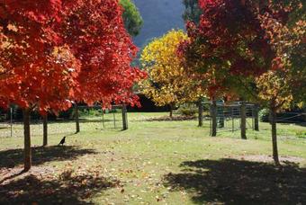 Apartamentos Ggs By The River