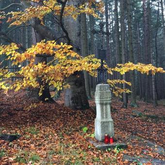 Lodge Chalupa U Pichler?