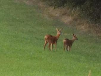 Posada Hennetaler Hof