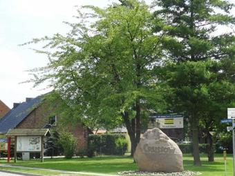 Apartamento Ferienwohnung Crussow Uck 1101