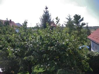 Apartamento Wohnung Ruhland