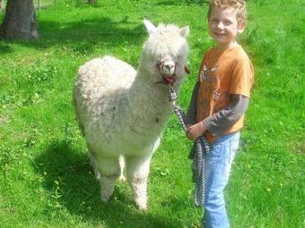 Spacious Apartment In Kastahn With Terrace