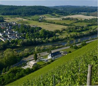 Bed & Breakfast G�stehaus Cantzheim