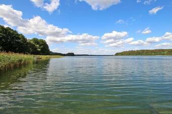 Ferienhaus Thomsdorf See 3111