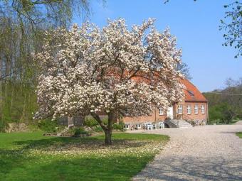 Bed & Breakfast �bleg�rden