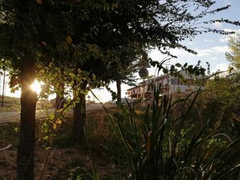 Hostal Miguel Hernandez