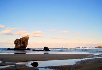 Apartamentos Tur�sticos La Flor