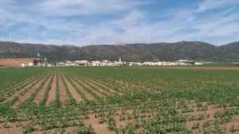 Hotel Posada Ana Ponce