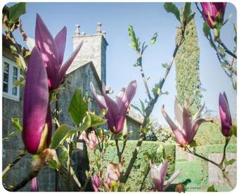 Hotel Turismo Rural As Casas