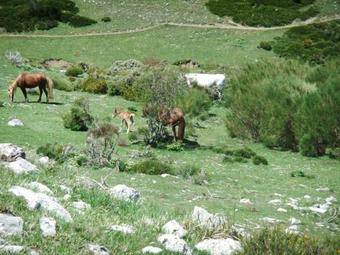 Hotel La Hornera De Bernardo