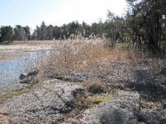 Holiday Home Korvenniemi