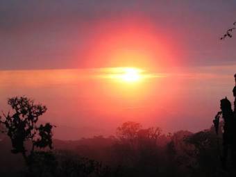 Birdwatchers House Y Lodge