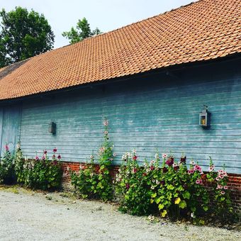 Bed & Breakfast Paardenhof Guesthouse