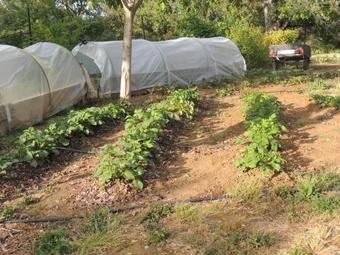 Hostal Les Ch�nes Verts