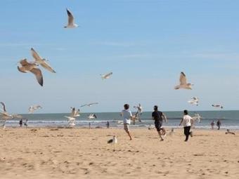 Apartment Appartement Tout Confort Face Mer 15