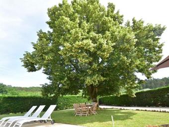 Cozy Holiday Home In Saint-leon-sur-vezere With Swimming Pool