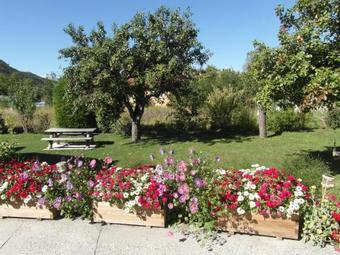 Bed & Breakfast Au Vieux Tilleul