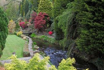 Bed & Breakfast Glandwr Mill