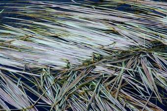 Cloon River Bed & Breakfast