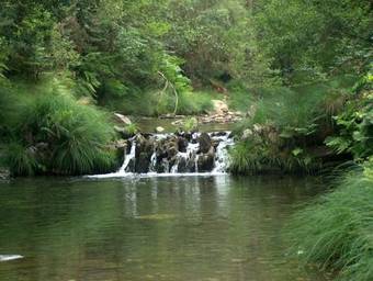 Hotel Conde De Agueda