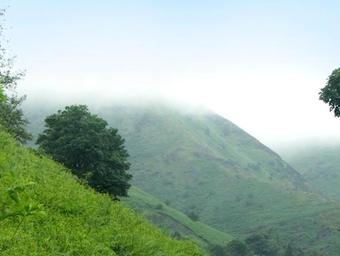 Shepherds Cottage, Church Stretton