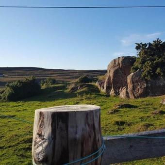 B&B The Green Cruachan