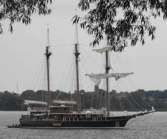 Motel Dewar's Inn On The River