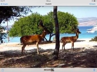 Aparthotel Perdika Suites