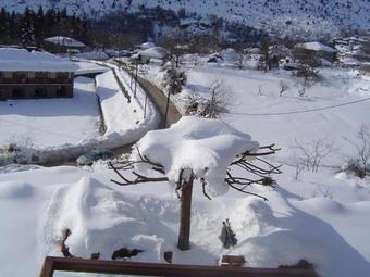 Hostal Timfea Chalet