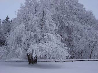 Stf Sp�nhults Herrg�rd Hostel