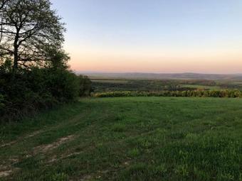 Hostal B�nki Vad�szh�z