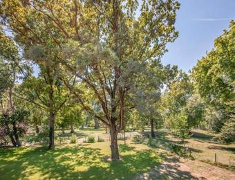 Bed & Breakfast T�lgyfa Fogad�