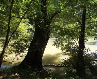 Bed & Breakfast Regia Panzi�