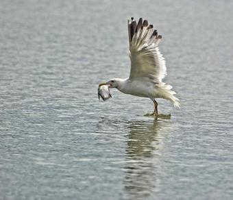 Bed & Breakfast Tisza Lodge