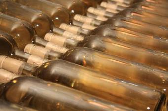 Hotel Oroszl�nos Fogad�