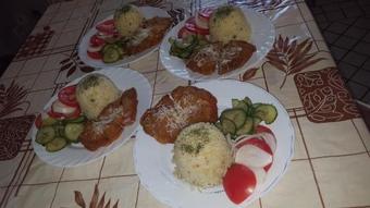 Hostal Di�kfogad�