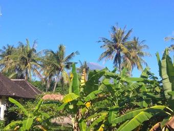 Apartamentos Bumbung Bungalows