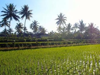 Hostal Les Rizieres Lombok