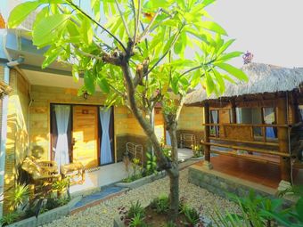 Hostal Tropical Garden Inn