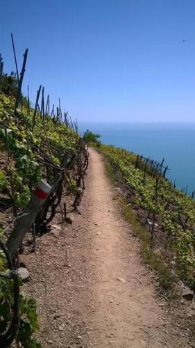 Creuza De Cinque Terre Apartment