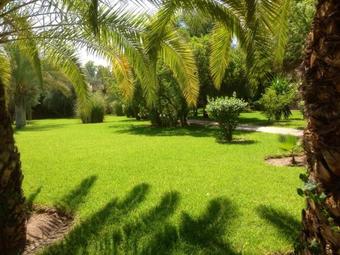Bed & Breakfast Villa Al Assala Palmeraie