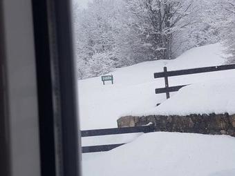 Apartments And Rooms Savin Kuk