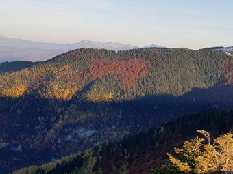 Bed & Breakfast Hotel Dvor